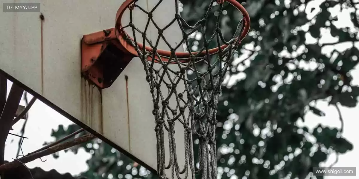 🏆 从看台到赛场，你的每一步都是传奇！🏃♂️